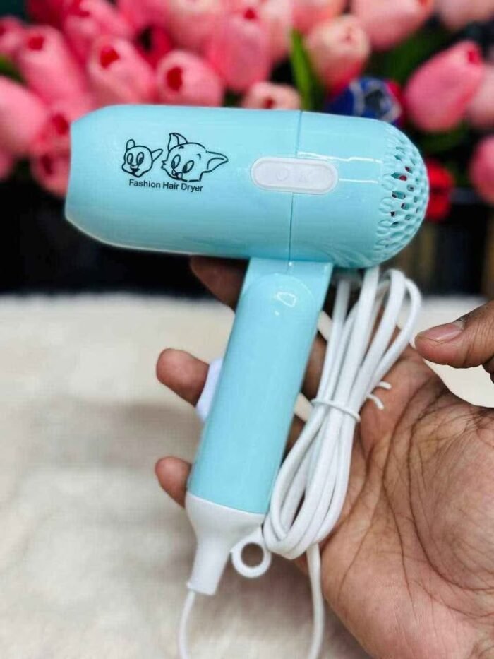Fashion hair dryer - Image 1